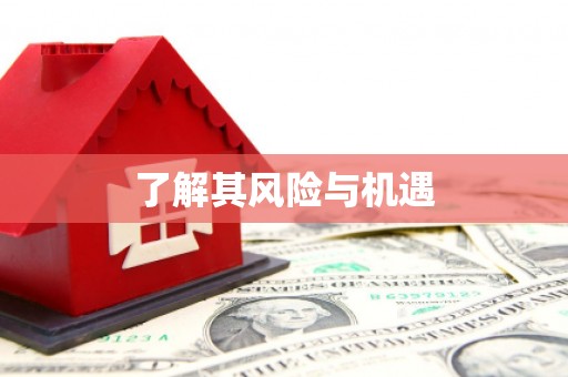 镇海了解其风险与机遇