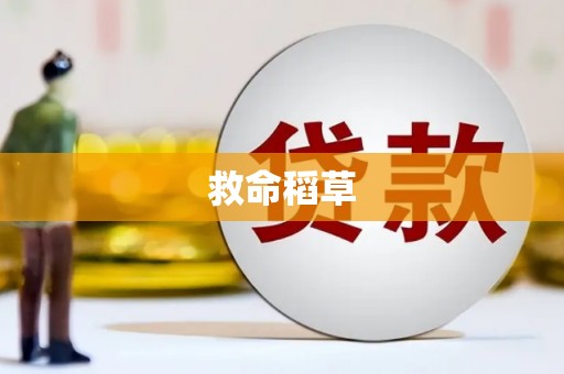 镇海救命稻草