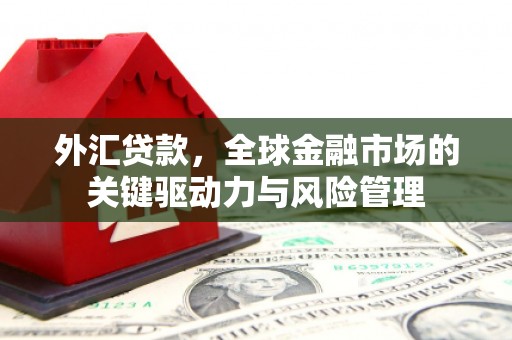 镇海外汇贷款，全球金融市场的关键驱动力与风险管理