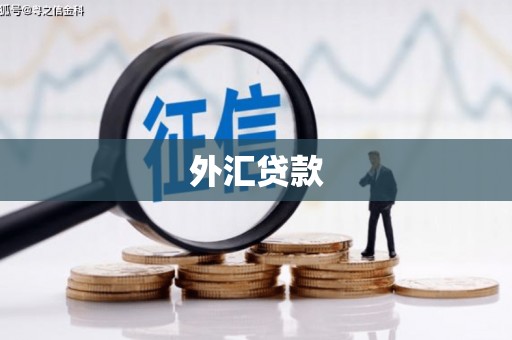 镇海外汇贷款
