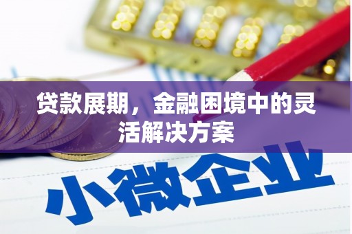 镇海贷款展期，金融困境中的灵活解决方案