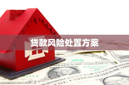 镇海贷款风险处置方案