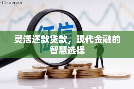镇海灵活还款贷款，现代金融的智慧选择