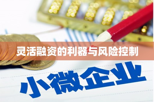 镇海灵活融资的利器与风险控制