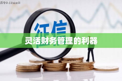 镇海灵活财务管理的利器