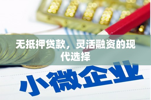 镇海无抵押贷款，灵活融资的现代选择