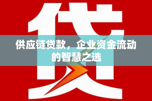 镇海供应链贷款，企业资金流动的智慧之选