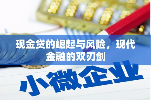 镇海现金贷的崛起与风险，现代金融的双刃剑