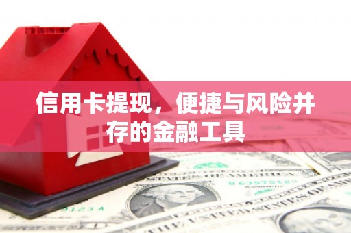 镇海信用卡提现，便捷与风险并存的金融工具