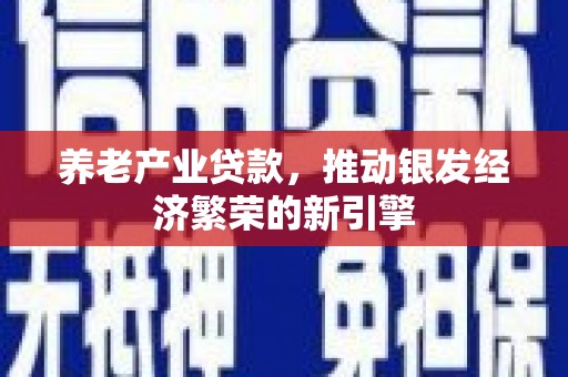 镇海养老产业贷款，推动银发经济繁荣的新引擎