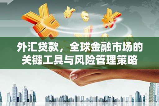 镇海外汇贷款，全球金融市场的关键工具与风险管理策略