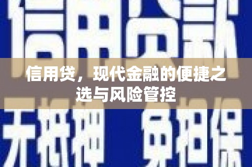 镇海信用贷，现代金融的便捷之选与风险管控