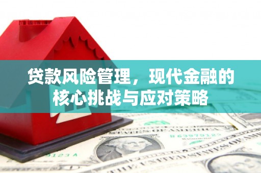 镇海贷款风险管理，现代金融的核心挑战与应对策略