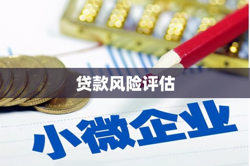 镇海贷款风险评估