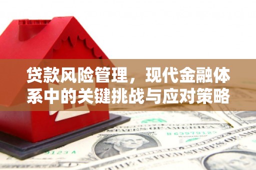 镇海贷款风险管理，现代金融体系中的关键挑战与应对策略