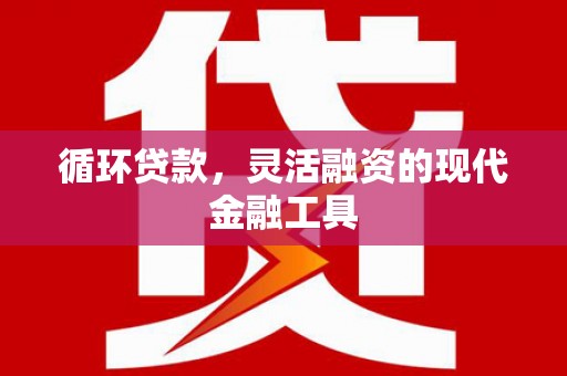 镇海循环贷款，灵活融资的现代金融工具