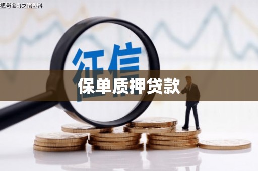 镇海保单质押贷款
