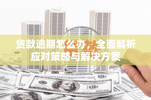 镇海贷款逾期怎么办，全面解析应对策略与解决方案